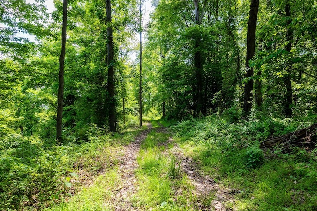0 State Route 124, Portland, OH 45770 - photo 28