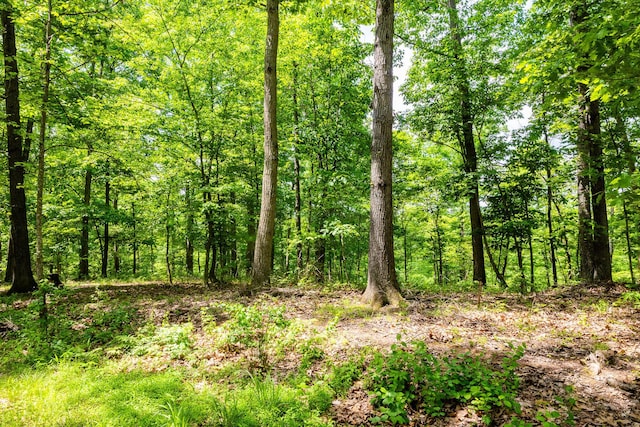 0 State Route 124, Portland, OH 45770 - photo 29