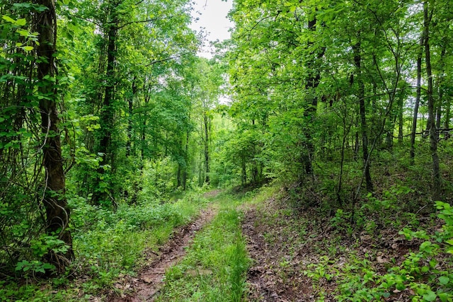 0 State Route 124, Portland, OH 45770 - photo 35