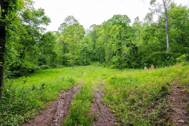 0 State Route 124, Portland, OH 45770 - photo 36