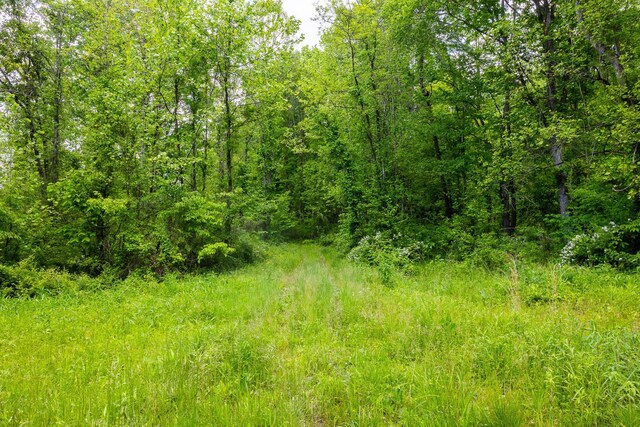 0 State Route 124, Portland, OH 45770 - photo 37