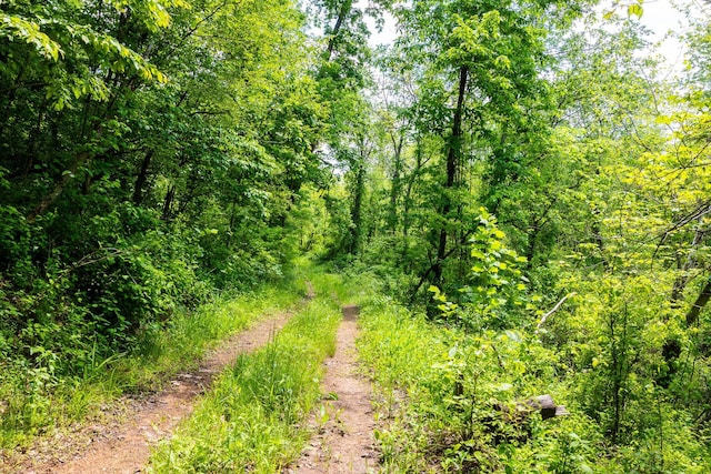 0 State Route 124, Portland, OH 45770 - photo 43