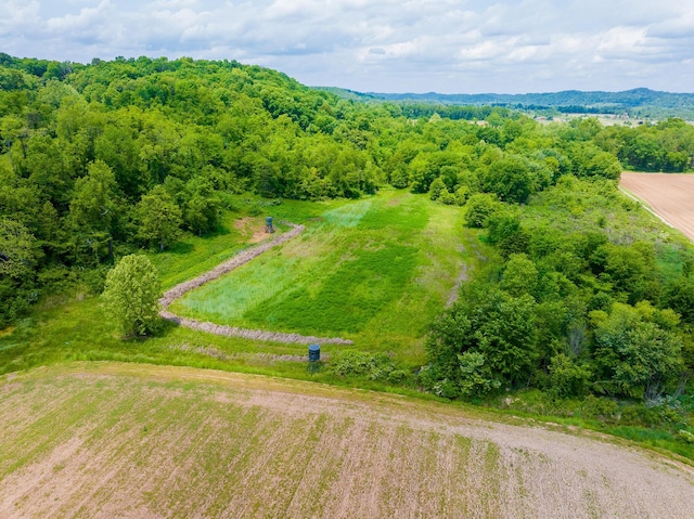 0 State Route 124, Portland, OH 45770 - photo 5