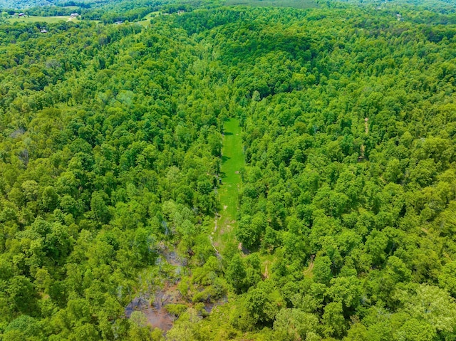 0 State Route 124, Portland, OH 45770 - photo 60