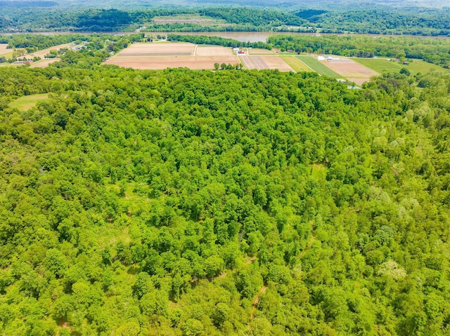 0 State Route 124, Portland, OH 45770 - photo 61