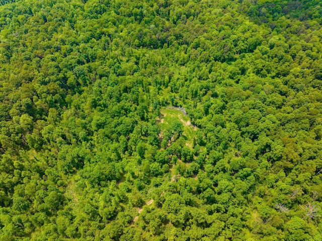 0 State Route 124, Portland, OH 45770 - photo 63