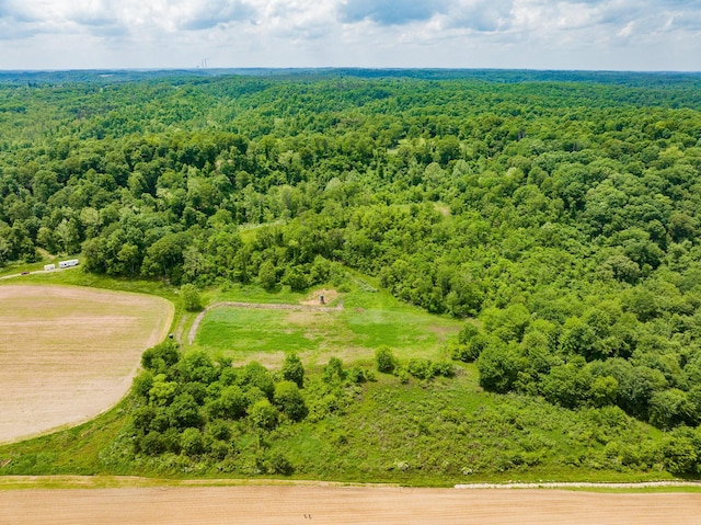 0 State Route 124, Portland, OH 45770 - photo 4