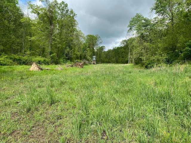 0 State Route 124, Portland, OH 45770 - photo 23
