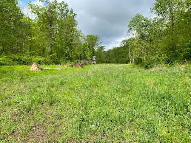 0 State Route 124, Portland, OH 45770 - photo 22