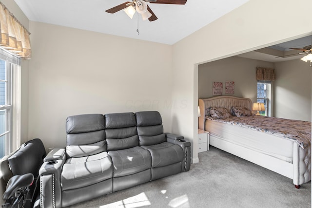 1143 Little Bear Pl, Lewis Center, OH 43035 - photo 17