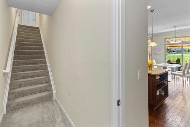 1143 Little Bear Pl, Lewis Center, OH 43035 - photo 26