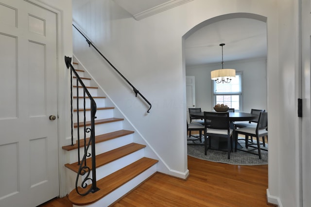 429 Arden Rd, Columbus, OH 43214 - photo 5