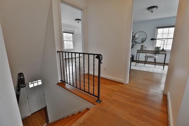 429 Arden Rd, Columbus, OH 43214 - photo 29