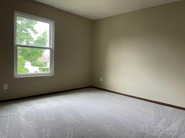1058 Rousseau Ln, Galloway, OH 43119 - photo 26