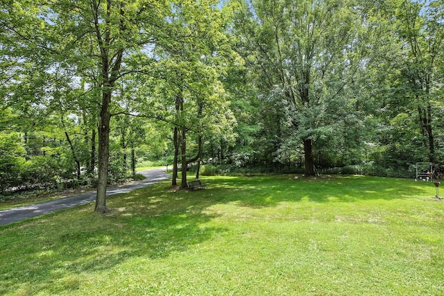 11779 Woodhaven Rd, Johnstown, OH 43031 - photo 34