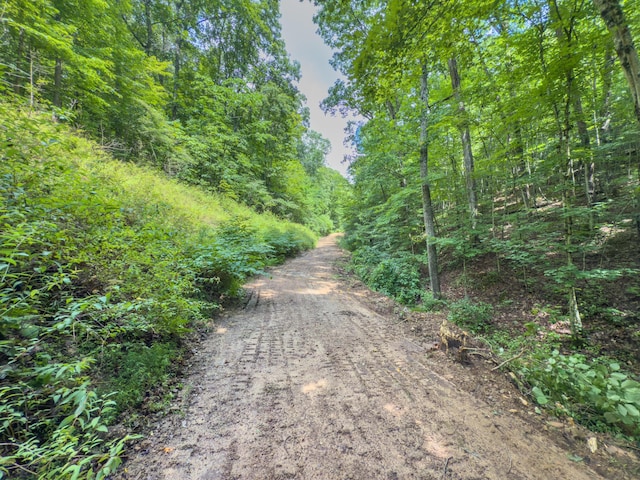 0 Sowers Rd, Mcarthur, OH 45651 - photo 2