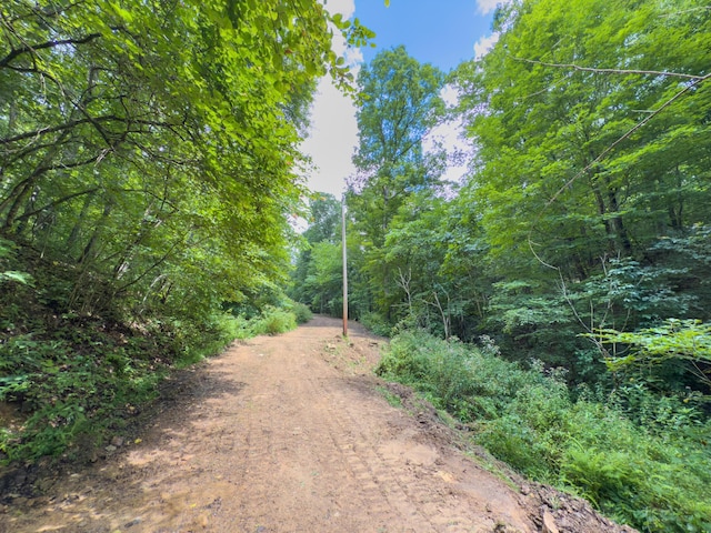 0 Sowers Rd, Mcarthur, OH 45651 - photo 3