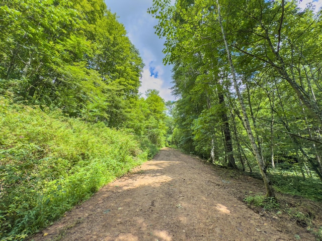 0 Sowers Rd, Mcarthur, OH 45651 - photo 4