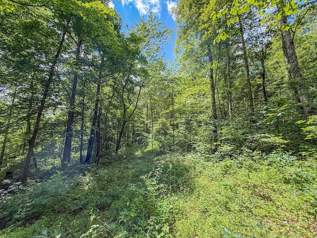 0 Sowers Rd, Mcarthur, OH 45651 - photo 8