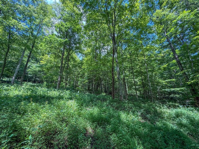 0 Sowers Rd, Mcarthur, OH 45651 - photo 9