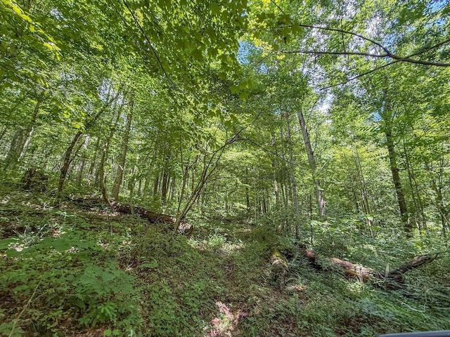 0 Sowers Rd, Mcarthur, OH 45651 - photo 10