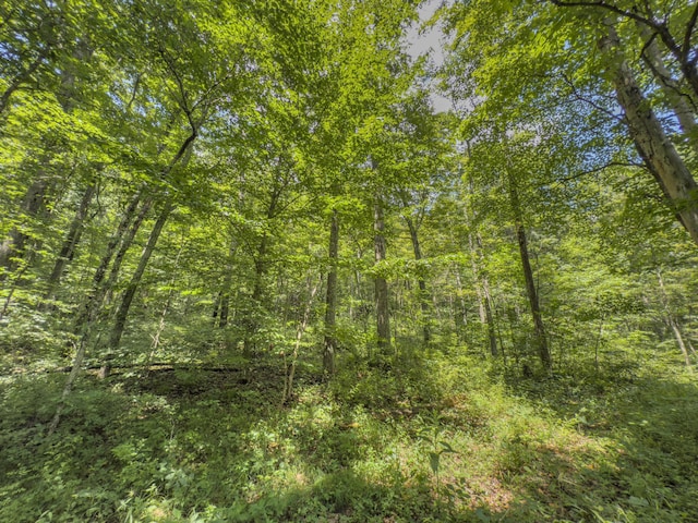 0 Sowers Rd, Mcarthur, OH 45651 - photo 11