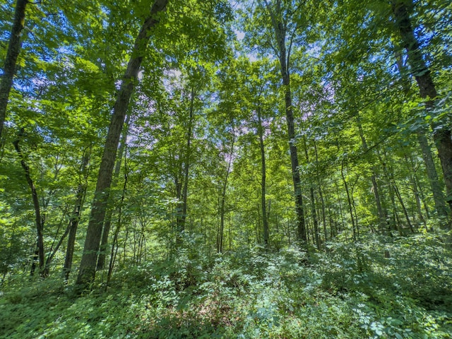 0 Sowers Rd, Mcarthur, OH 45651 - photo 12