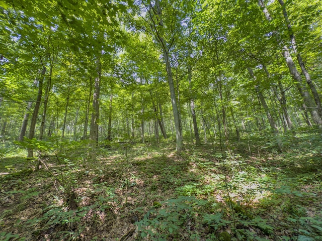 0 Sowers Rd, Mcarthur, OH 45651 - photo 14