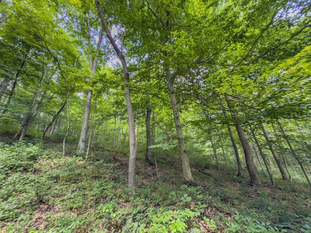 0 Sowers Rd, Mcarthur, OH 45651 - photo 15
