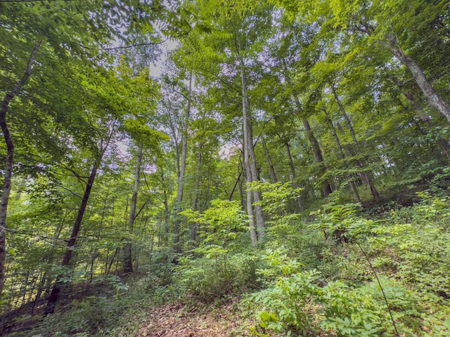 0 Sowers Rd, Mcarthur, OH 45651 - photo 16