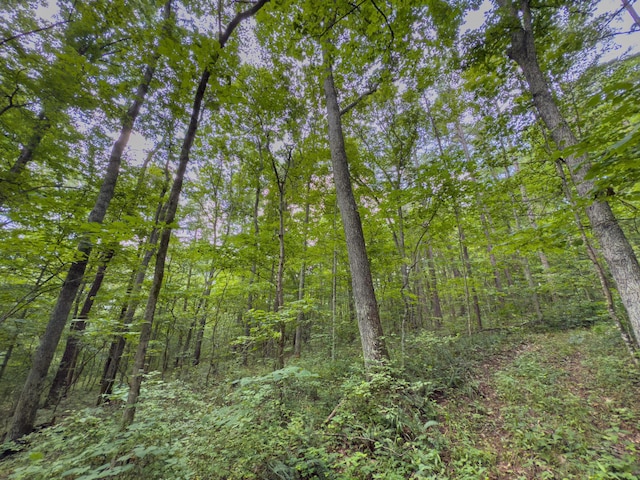 0 Sowers Rd, Mcarthur, OH 45651 - photo 17