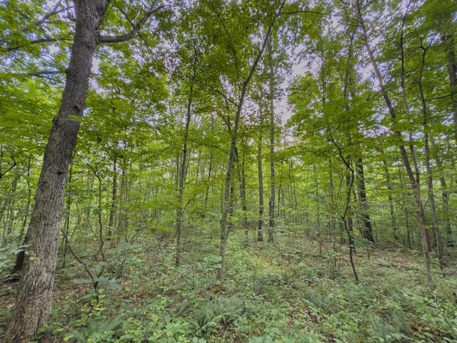 0 Sowers Rd, Mcarthur, OH 45651 - photo 18