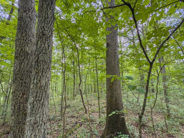 0 Sowers Rd, Mcarthur, OH 45651 - photo 19