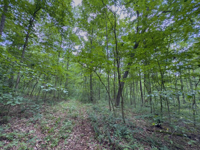 0 Sowers Rd, Mcarthur, OH 45651 - photo 20