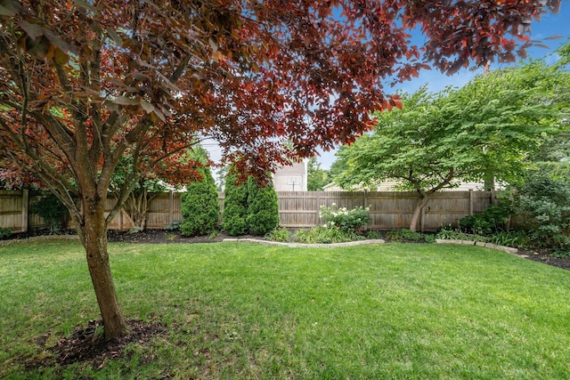 2228 Ridgeview Rd, Columbus, OH 43221 - photo 40