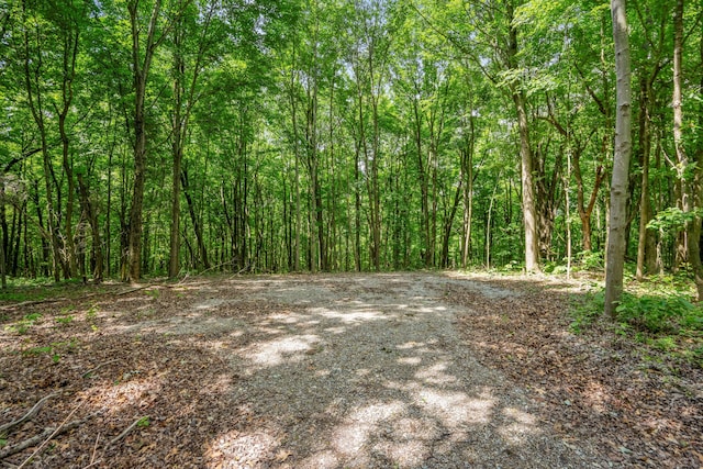 0 Schmidt Rd, Bainbridge, OH 45612 - photo 13