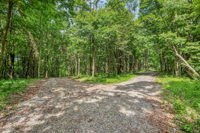 0 Schmidt Rd, Bainbridge, OH 45612 - photo 16