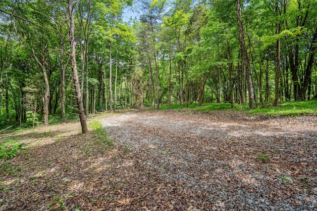 0 Schmidt Rd, Bainbridge, OH 45612 - photo 17