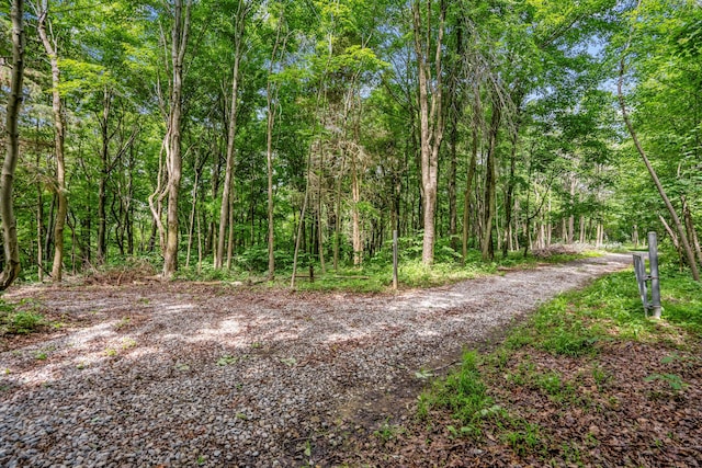 0 Schmidt Rd, Bainbridge, OH 45612 - photo 18