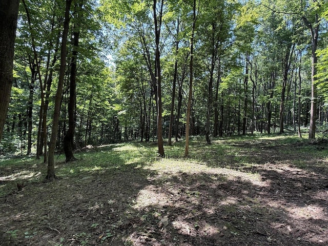 0 Schmidt Rd, Bainbridge, OH 45612 - photo 20