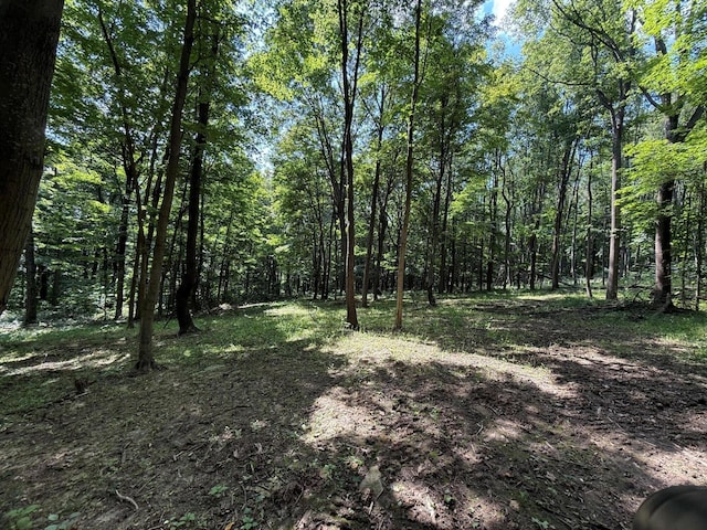 0 Schmidt Rd, Bainbridge, OH 45612 - photo 21