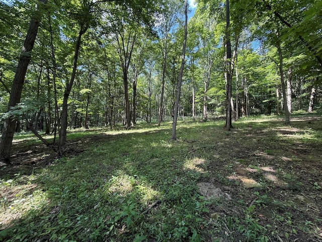 0 Schmidt Rd, Bainbridge, OH 45612 - photo 22