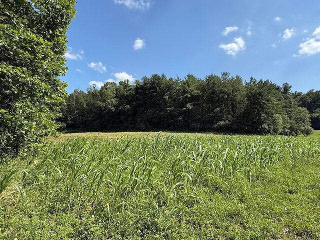 0 Schmidt Rd, Bainbridge, OH 45612 - photo 23