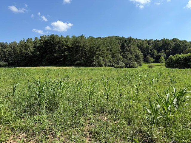 0 Schmidt Rd, Bainbridge, OH 45612 - photo 24