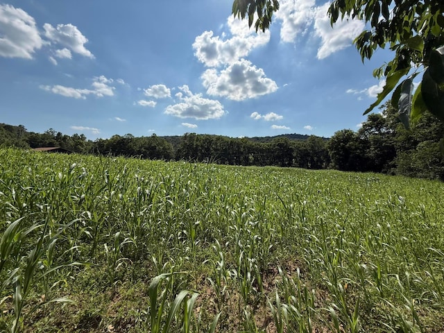 0 Schmidt Rd, Bainbridge, OH 45612 - photo 25