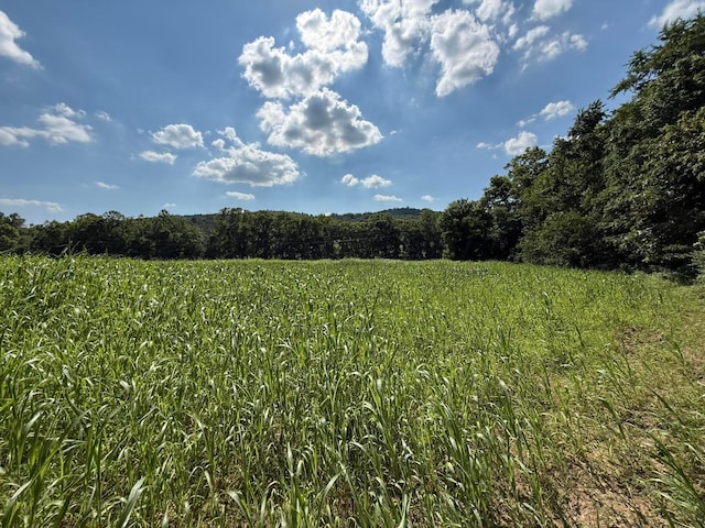 0 Schmidt Rd, Bainbridge, OH 45612 - photo 26