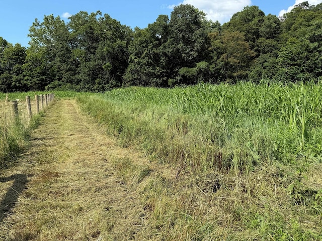 0 Schmidt Rd, Bainbridge, OH 45612 - photo 29