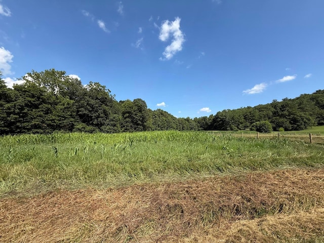 0 Schmidt Rd, Bainbridge, OH 45612 - photo 34