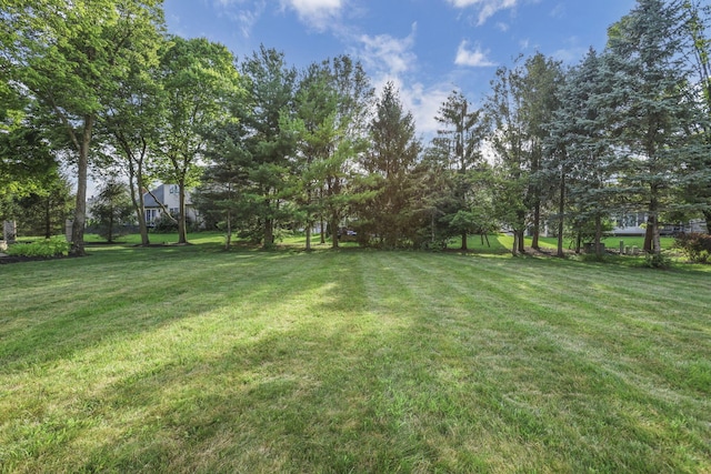 7695 Richens Dr, Dublin, OH 43017 - photo 53