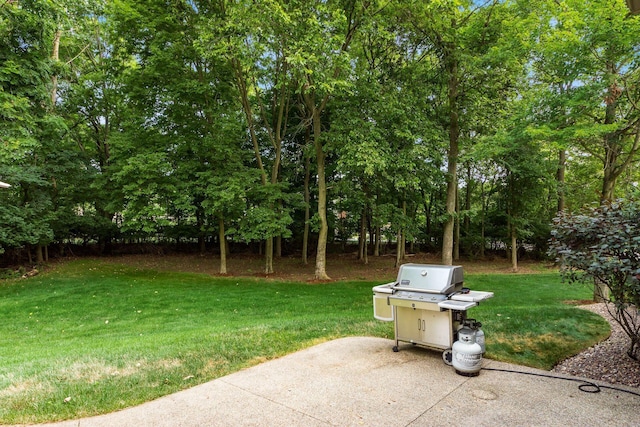 2540 Silverleaf Dr, Powell, OH 43065 - photo 54